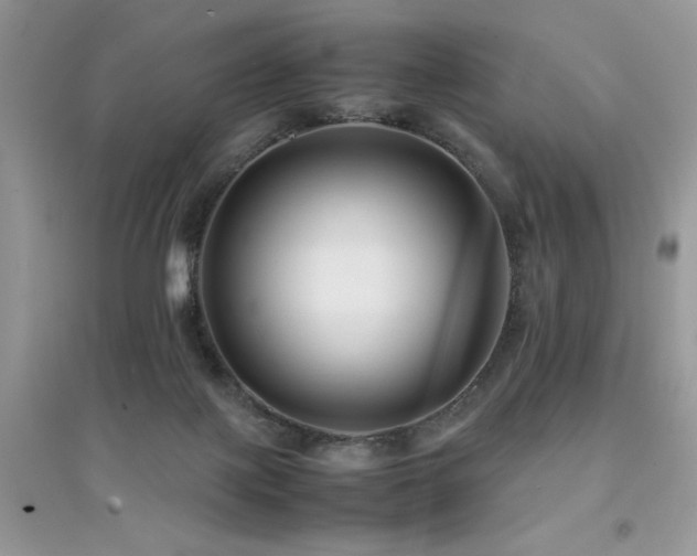 X0000094970075200711291514