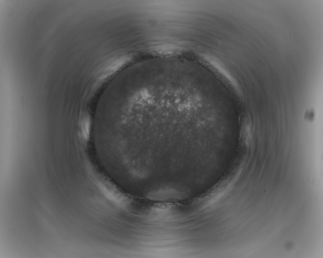 X0000094970076200711291514