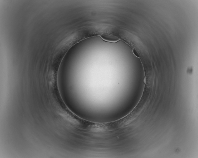 X0000094970077200711291514
