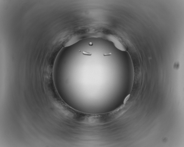 X0000094970078200711291514