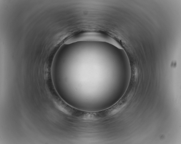 X0000094970080200711291514