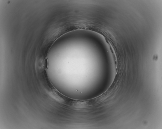 X0000094970081200711291514