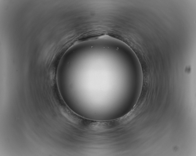 X0000094970082200711291514