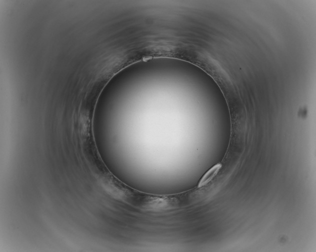 X0000094970083200711291514