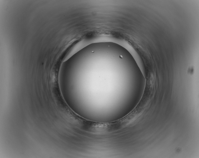 X0000094970084200711291514