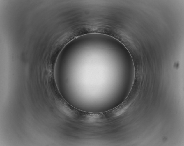 X0000094970085200711291514