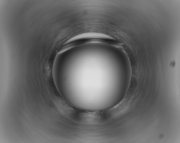 X0000094970086200711291514