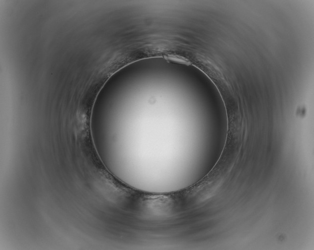 X0000094970087200711291514
