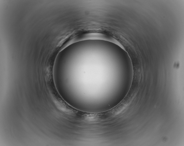 X0000094970088200711291514