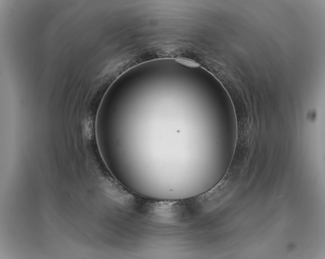 X0000094970090200711291514