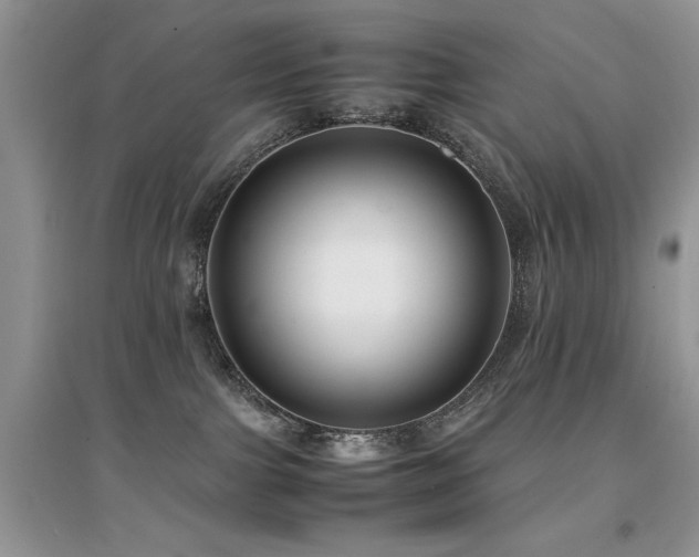 X0000094970091200711291514