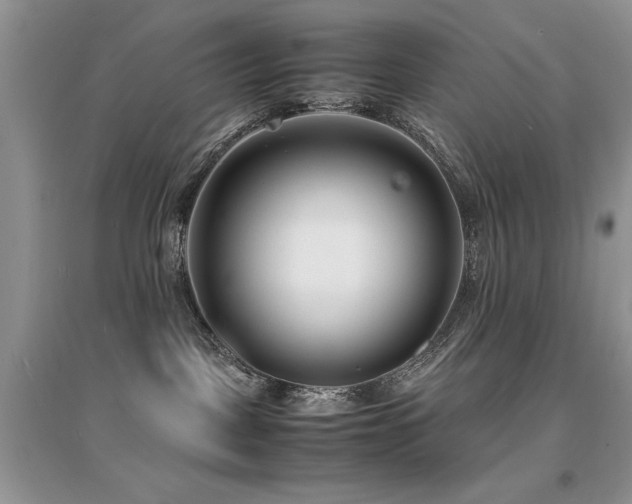 X0000094970093200711291514