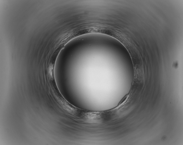 X0000094970094200711291514