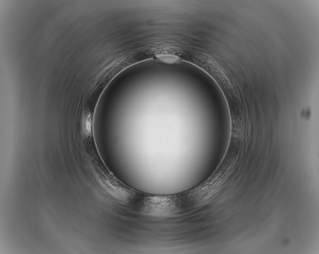 X0000094970095200711291514