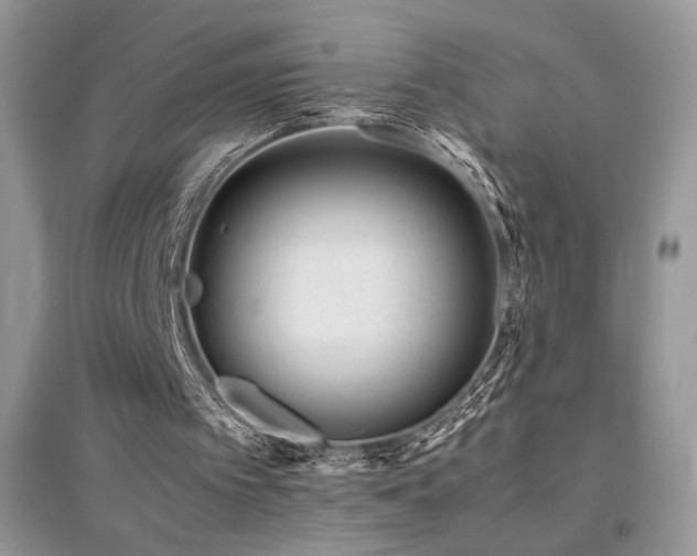 X0000094970097200711291513