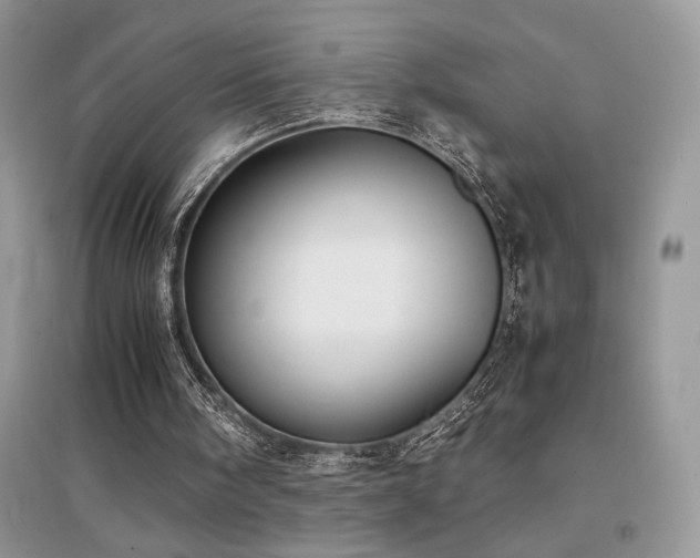 X0000094970098200711291513