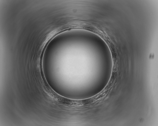 X0000094970099200711291513