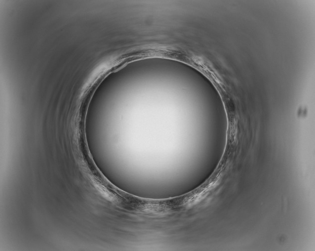 X0000094970101200711291513