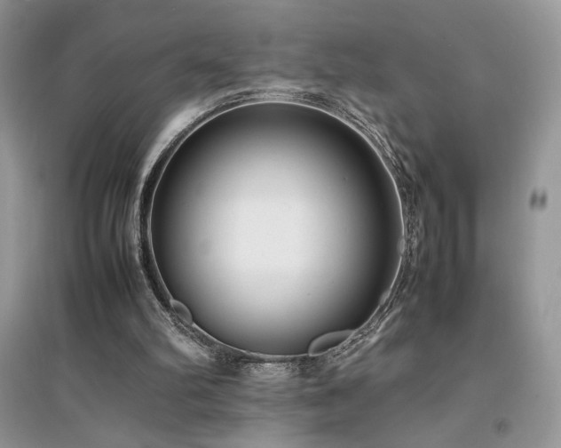 X0000094970102200711291513