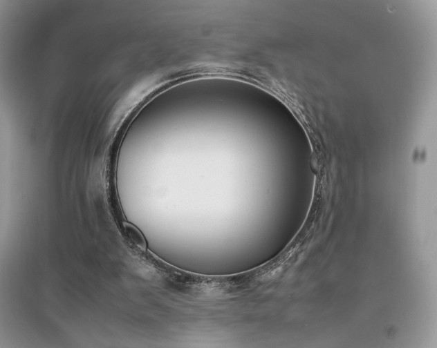 X0000094970103200711291513