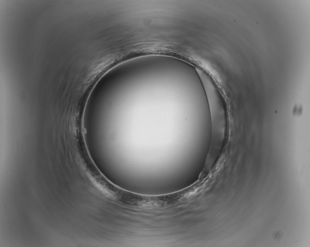 X0000094970105200711291513