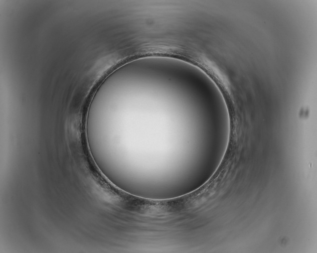 X0000094970107200711291513
