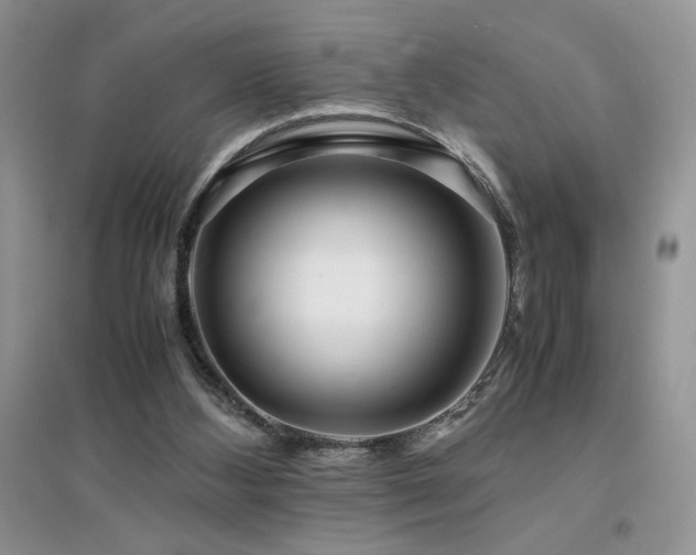 X0000094970108200711291513