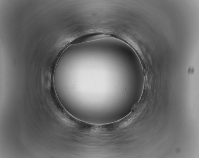 X0000094970109200711291513