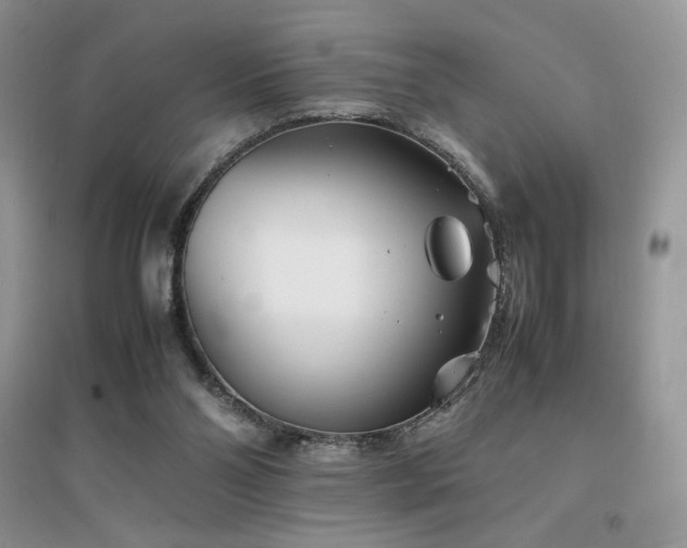 X0000094970110200711291513