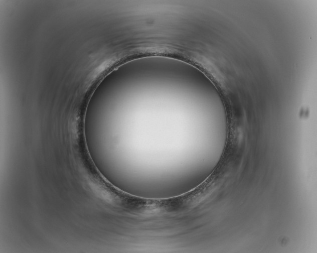 X0000094970111200711291513