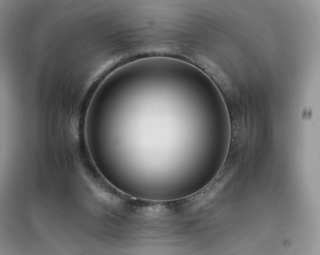 X0000094970112200711291513