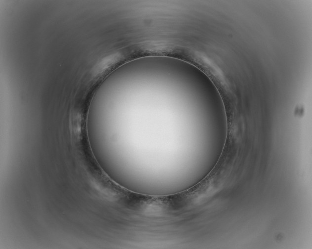X0000094970115200711291513