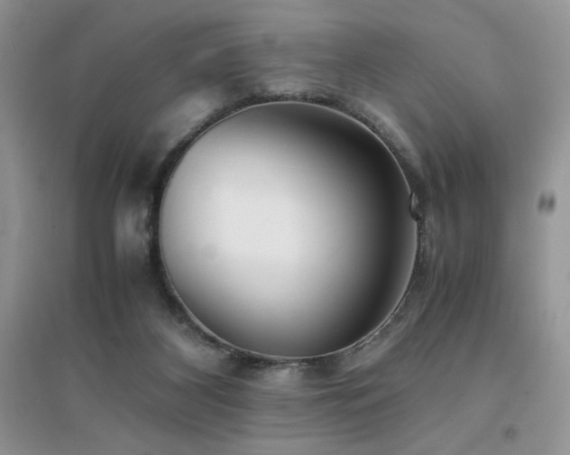 X0000094970116200711291513