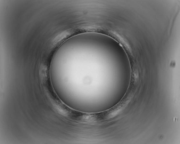 X0000094970117200711291513