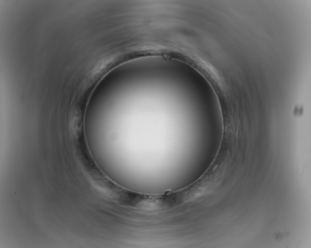 X0000094970119200711291513