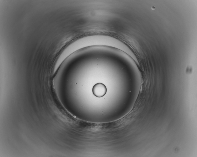 X0000094970120200711291513