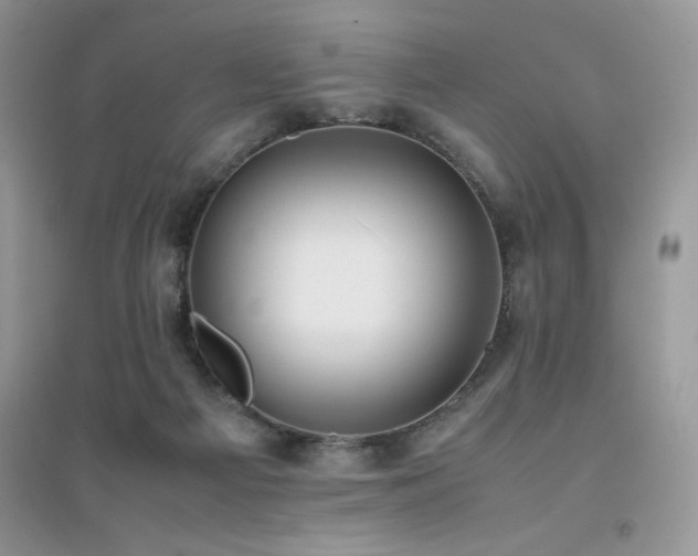 X0000094970121200711291513