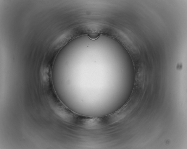X0000094970122200711291513