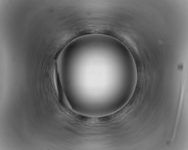 X0000094970123200711291513