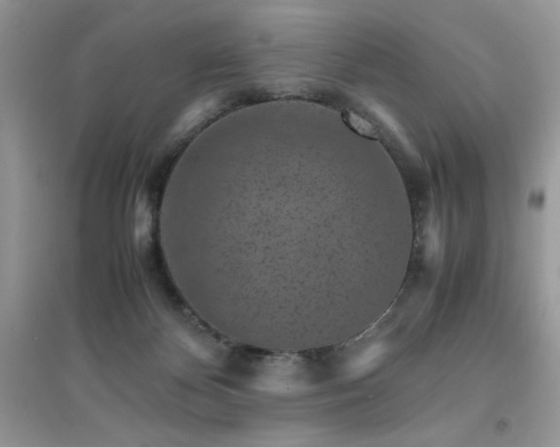 X0000094970124200711291513