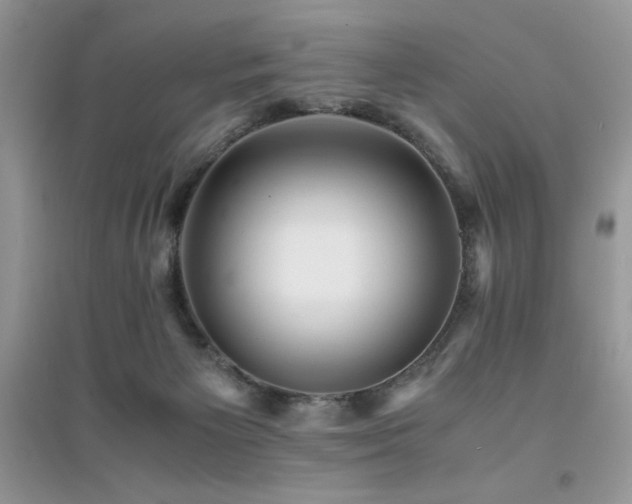 X0000094970125200711291513