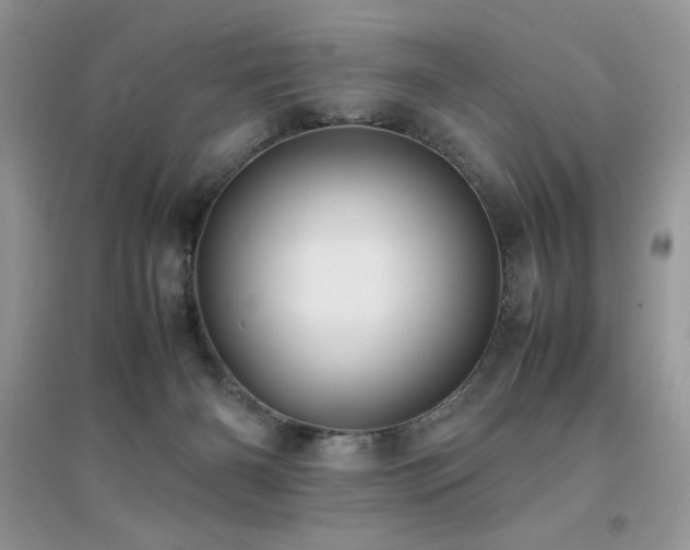X0000094970126200711291513