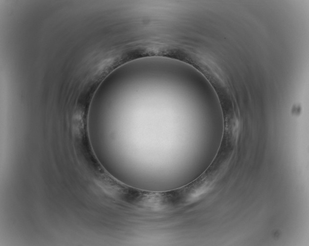 X0000094970127200711291513