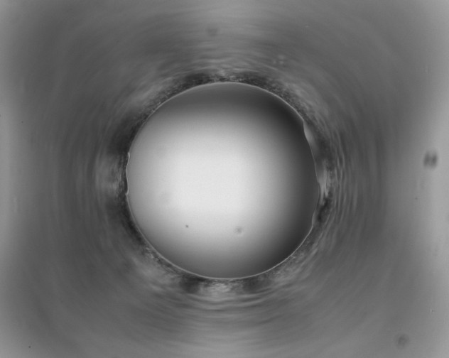 X0000094970129200711291513