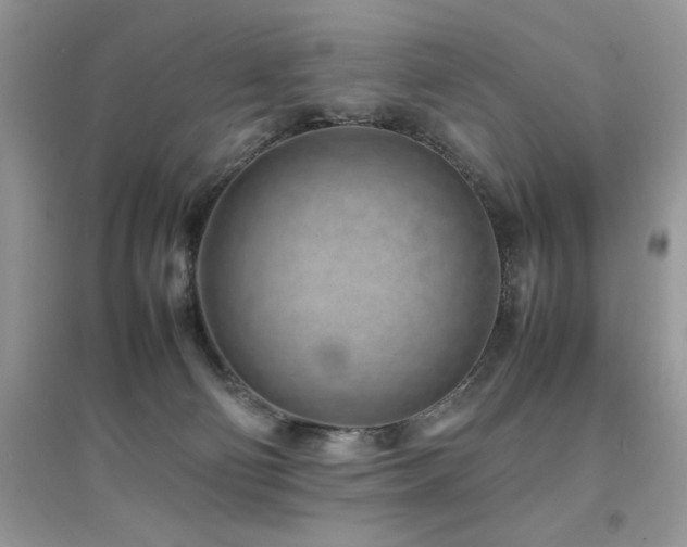 X0000094970130200711291513