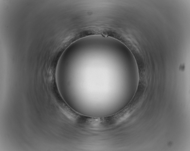 X0000094970131200711291513