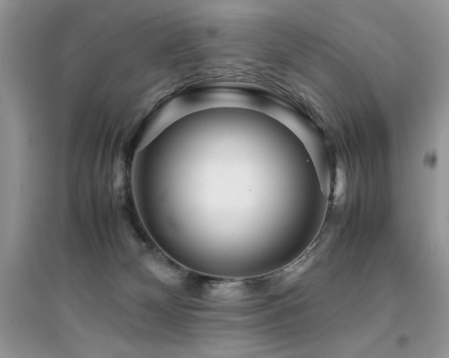 X0000094970132200711291513