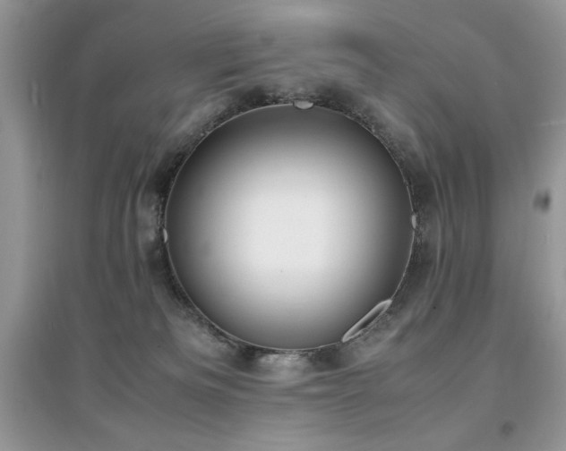 X0000094970133200711291513