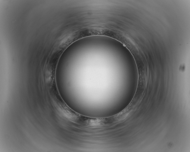 X0000094970134200711291513