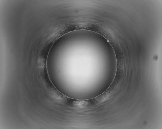 X0000094970135200711291513